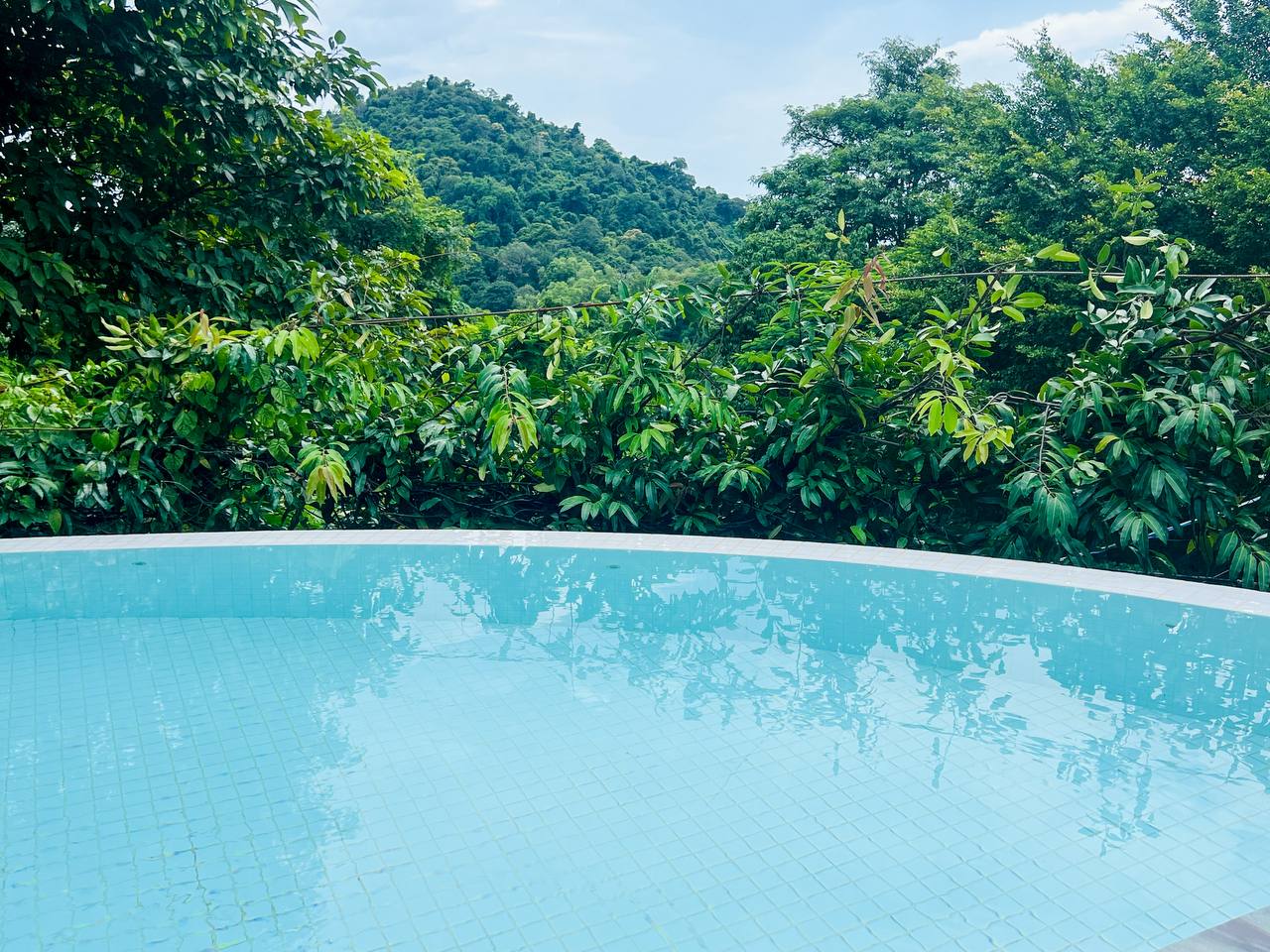 Jacuzzi Villa Bed & Breakfast 12